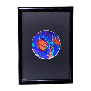 Musical Instruments Small Round Hologram Picture (FRAMED), 3D Collectible Embossed Type Hologram